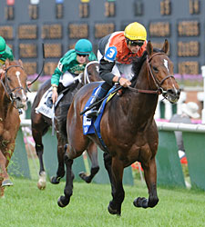 Banned Storms Home in American Turf