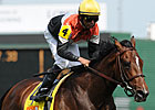 Tough On Turf: Glen Hill Farm Tough On Turf: Glen Hill Farm