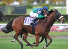 NY Champ Banrock Retired NY Champ Banrock Retired