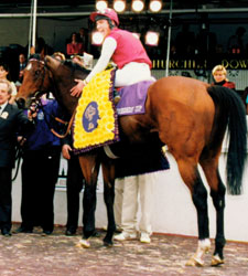 Barathea, BC Mile Winner, Euthanized Barathea, BC Mile Winner, Euthanized
