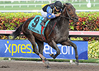 Barbados Rides Hot Streak into Hutcheson Barbados Rides Hot Streak into Hutcheson
