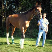 Breath of Fresh Air for Barbaro; Gaining Weight and 'Attitude is Great' Breath of Fresh Air for Barbaro; Gaining Weight and 'Attitude is Great'