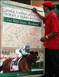 Barbaro on Thursday: 'Progressing Nicely' Barbaro on Thursday: 'Progressing Nicely'