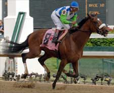 Undefeated Barbaro Conquers All in Derby Undefeated Barbaro Conquers All in Derby