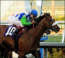 'Barbaro' Documentary by HBO Sports to Air in June 'Barbaro' Documentary by HBO Sports to Air in June