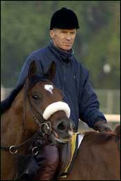 Barbaro Back at Fair Hill; Preakness Field is Work in Progress Barbaro Back at Fair Hill; Preakness Field is Work in Progress