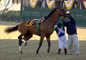 Surgery Scheduled Sunday Afternoon for Barbaro Surgery Scheduled Sunday Afternoon for Barbaro