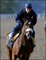 Barbaro Works Quarter-Mile Thursday in Final Preakness Prep Barbaro Works Quarter-Mile Thursday in Final Preakness Prep