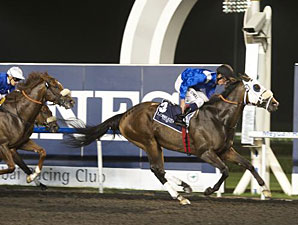 Barbecue Eddie Breaks Through at Meydan Barbecue Eddie Breaks Through at Meydan
