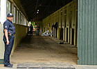 Enhanced Security Measures for Belmont Horses Enhanced Security Measures for Belmont Horses