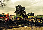 Eight Horses Die in Barn Fire Near Keeneland Eight Horses Die in Barn Fire Near Keeneland
