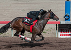 Barretts Holds 2-Year-Olds Under-Tack Preview Barretts Holds 2-Year-Olds Under-Tack Preview