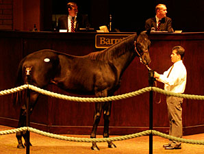 Boosted by Wygod Horses, Barretts Post Gains Boosted by Wygod Horses, Barretts Post Gains
