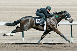 Barretts Horses to Watch Barretts Horses to Watch