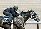 Barretts Horses to Watch