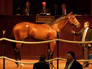 Average, Median Up at Strong Barretts Sale Average, Median Up at Strong Barretts Sale