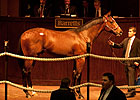 Average, Median Up at Strong Barretts Sale Average, Median Up at Strong Barretts Sale