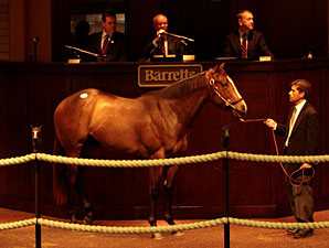 Business Booms at Barretts 2YO Sale Business Booms at Barretts 2YO Sale
