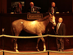 Coolmore Buys Dunkirk Colt for $575,000 Coolmore Buys Dunkirk Colt for $575,000