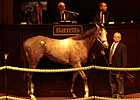 Coolmore Buys Dunkirk Colt for $575,000 Coolmore Buys Dunkirk Colt for $575,000