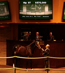 Biancone Signs for $570,000 War Front Colt Biancone Signs for $570,000 War Front Colt
