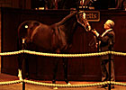 Biancone Signs for $570,000 War Front Colt Biancone Signs for $570,000 War Front Colt