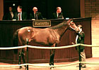 Hammer Time: Naming the Priciest Juveniles Hammer Time: Naming the Priciest Juveniles