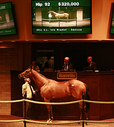 Into Mischief Colt Brings $320K at Barretts Into Mischief Colt Brings $320K at Barretts
