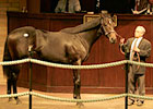 Bertrando Colt Tops at Barretts Yearling Sale Bertrando Colt Tops at Barretts Yearling Sale