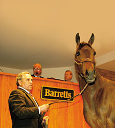Barretts March Sale Catalog Available On-Line Barretts March Sale Catalog Available On-Line