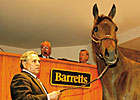 Sire Power on Display at Barretts Mixed Sale Sire Power on Display at Barretts Mixed Sale