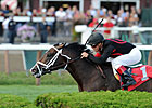Bashart Heads Good Group in Bourbon Stakes Bashart Heads Good Group in Bourbon Stakes