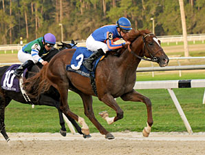 Maiden Battle Hardened Gets Up in Sam Davis Maiden Battle Hardened Gets Up in Sam Davis