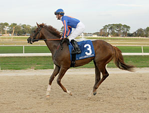 Battle Hardened Breezes at Palm Meadows Battle Hardened Breezes at Palm Meadows