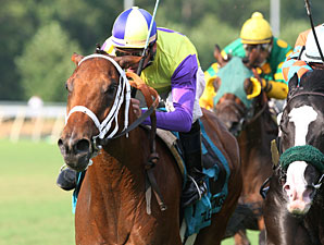 Battle of Hastings Doing Well After Surgery Battle of Hastings Doing Well After Surgery