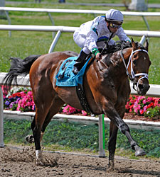 Battle Plan Shows Way in New Orleans 'Cap Battle Plan Shows Way in New Orleans 'Cap