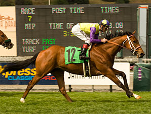 Battle of Hastings Tops Colonial Turf Cup Battle of Hastings Tops Colonial Turf Cup