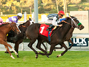 Bauble Queen Bursts to Robert Frankel Victory Bauble Queen Bursts to Robert Frankel Victory