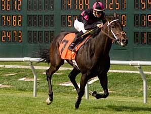 Bay Meadows Races Toward Final Call Bay Meadows Races Toward Final Call
