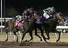 Bayerd Bounces Back in Springboard Mile Bayerd Bounces Back in Springboard Mile