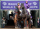 Bayern Works Three Furlongs at Santa Anita Bayern Works Three Furlongs at Santa Anita