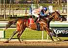 Rapid Riser Bayern Focus of San Felipe Stakes Rapid Riser Bayern Focus of San Felipe Stakes