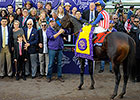 Bayern Top-Ranked U.S.-Based Horse in World Bayern Top-Ranked U.S.-Based Horse in World