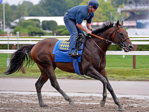 Bayern Gallops 1 1/2 Miles On Eve of Travers Bayern Gallops 1 1/2 Miles On Eve of Travers