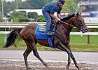 Bayern Gallops 1 1/2 Miles On Eve of Travers Bayern Gallops 1 1/2 Miles On Eve of Travers