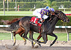Bayou's Lassie Outguns the 'Speed' Bayou's Lassie Outguns the 'Speed'