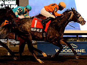 Bear No Joke Pulls Kennedy Road Upset Bear No Joke Pulls Kennedy Road Upset