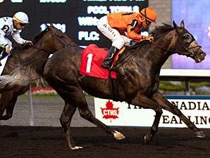 Bear Stables Trio Entered in Nearctic Stakes Bear Stables Trio Entered in Nearctic Stakes