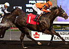 Bear Stables Trio Entered in Nearctic Stakes Bear Stables Trio Entered in Nearctic Stakes