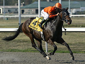 Bear Now Cruises in Ky. Cup Distaff Bear Now Cruises in Ky. Cup Distaff